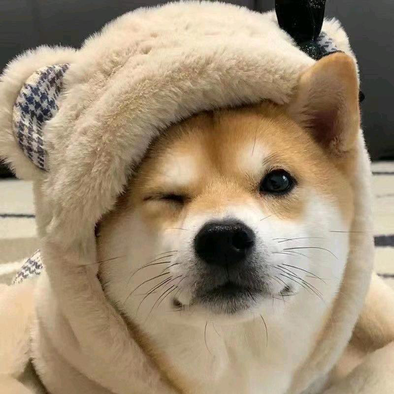 个人学习记录